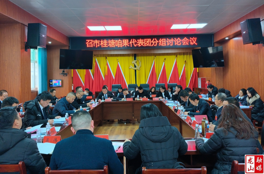 【聚焦两会】龙山县第十八届人民代表大会第五次会议召市、桂塘、咱果代表团分组讨论会议召开
