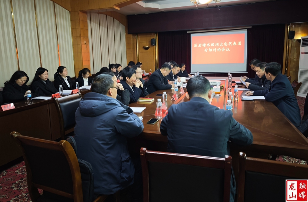 【聚焦两会】龙山县第十八届人民代表大会第五次会议茨岩塘、水田坝、大安代表团分组讨论会议召开
