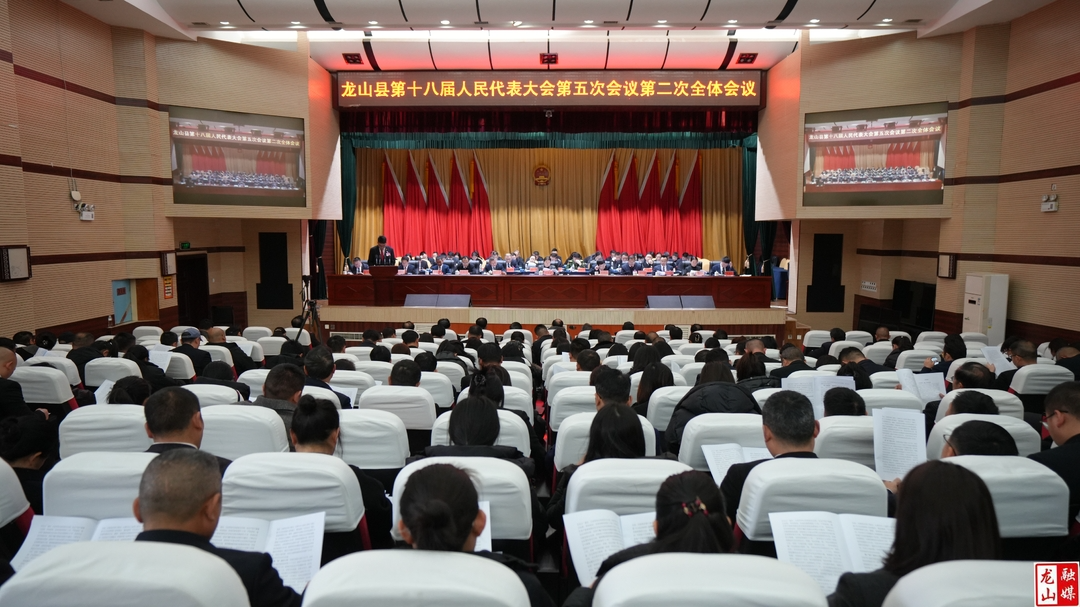 【聚焦两会】龙山县第十八届人民代表大会第五次会议举行第二次全体会议