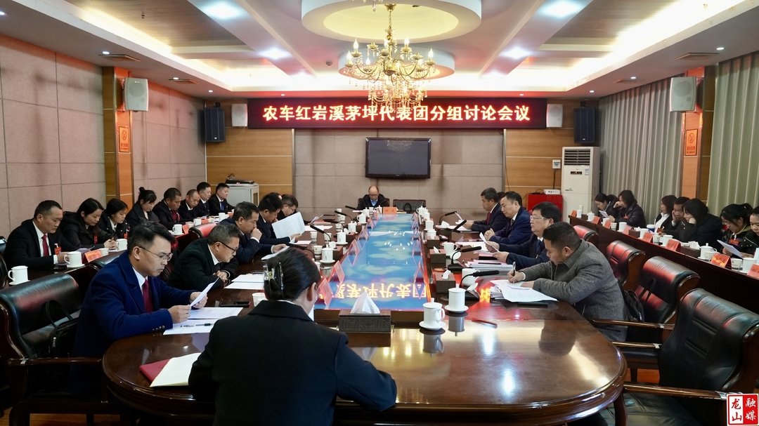 【聚焦两会】龙山县第十八届人民代表大会第五次会议农车、红岩溪、茅坪代表团分组讨论会议召开