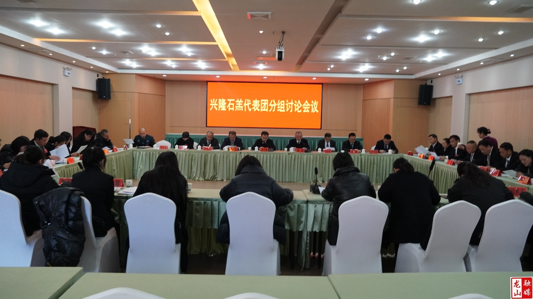 【聚焦两会】龙山县第十八届人民代表大会第五次会议兴隆、石羔分组讨论会议召开