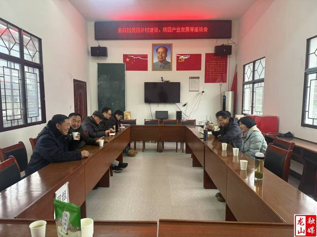 靛房镇开展入村走访调研活动