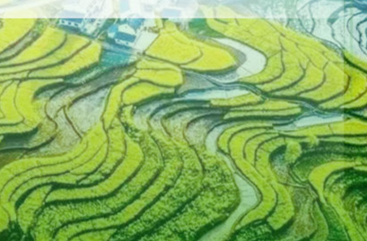 中共中央 国务院关于进一步深化农村改革　扎实推进乡村全面振兴的意见