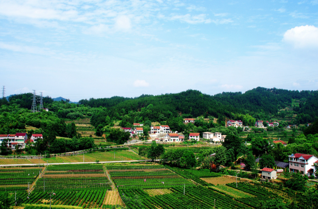 不断夯实农业基础 加力推进乡村振兴——解读2025年中央一号文件