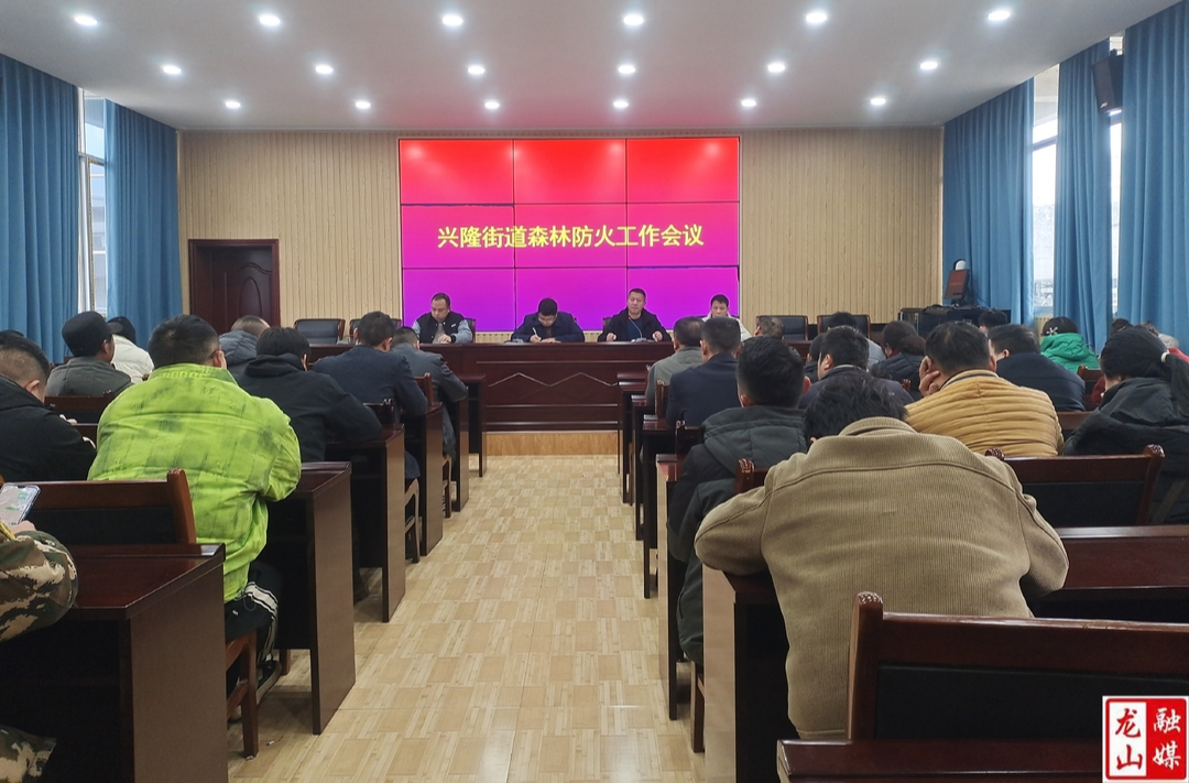 兴隆街道扎实抓好春季森林防火工作
