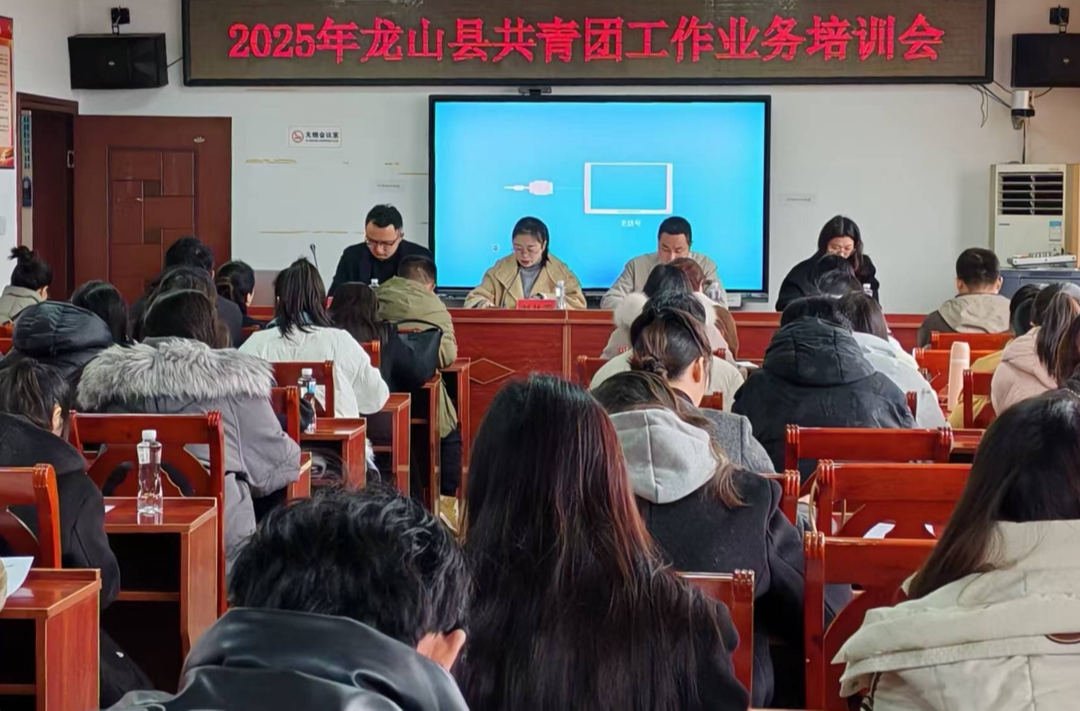 龙山县2025年共青团工作业务培训会召开