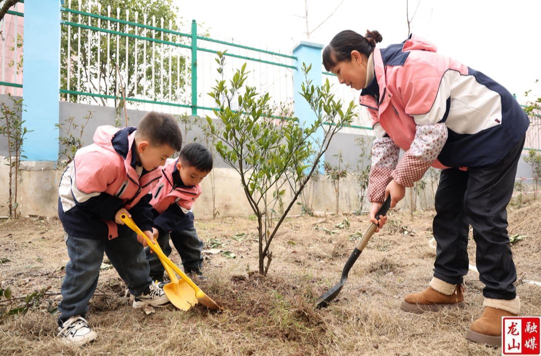 第一幼儿园开展植树、护树实践活动