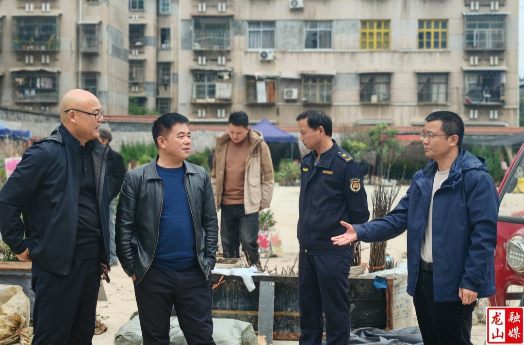 县城市管理和综合执法局就县城区便民摊点设置工作进行调研