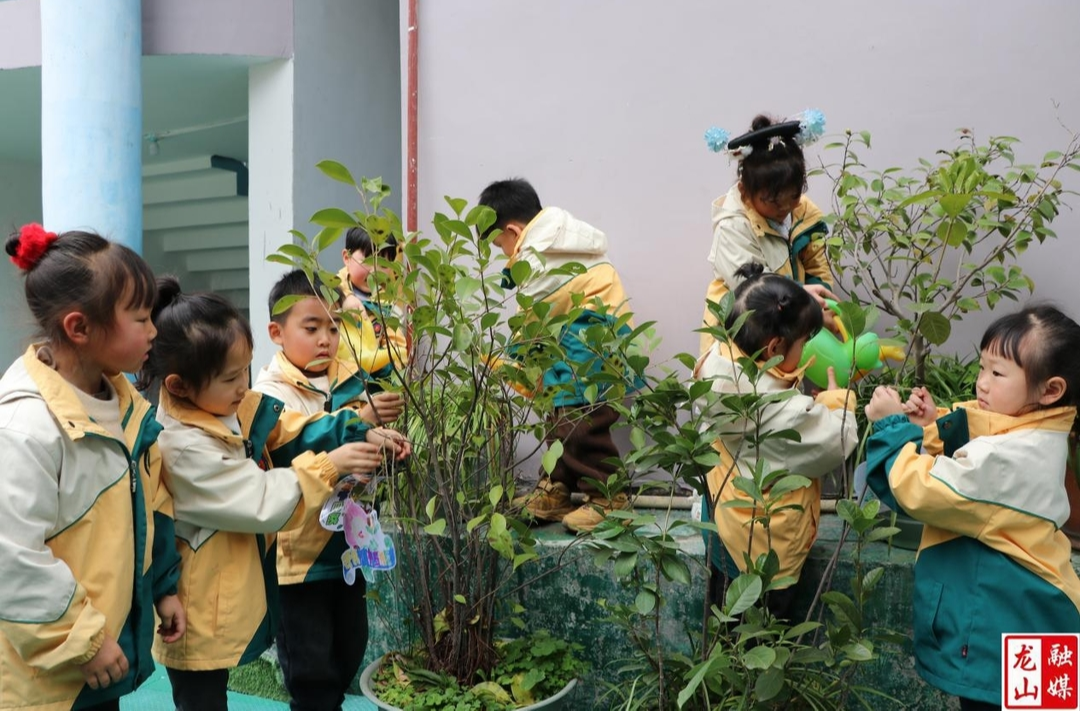 老干幼儿园开展“和你浇个朋友”植树节主题活动