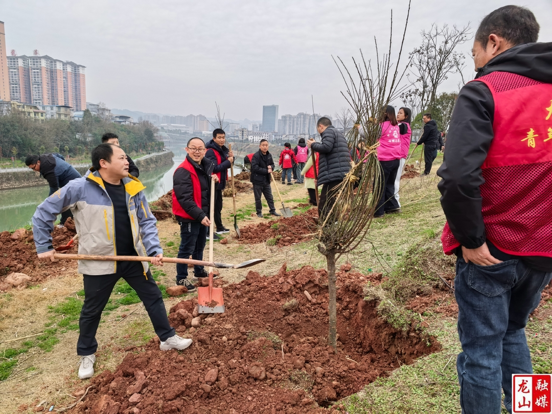 华塘街道携手各社区共植新绿 绘就生态文明新画卷