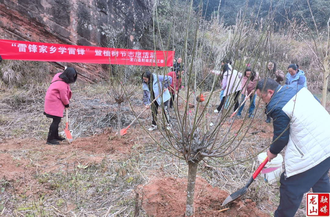 县财政局开展  “雷锋家乡学雷锋”暨植树节志愿活动