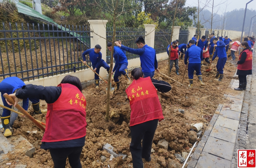龙山县“志愿红”联合“火焰蓝”共同开展义务植树活动