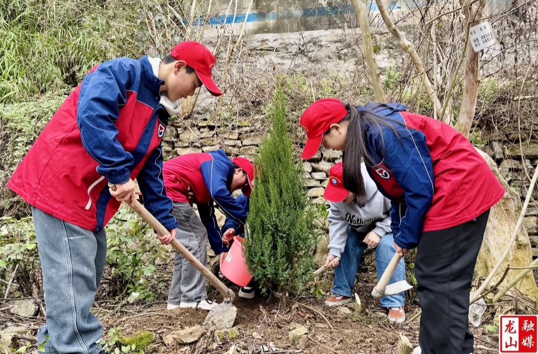 靛房镇九年制学校：师生共植长青树 童心筑梦绿意浓