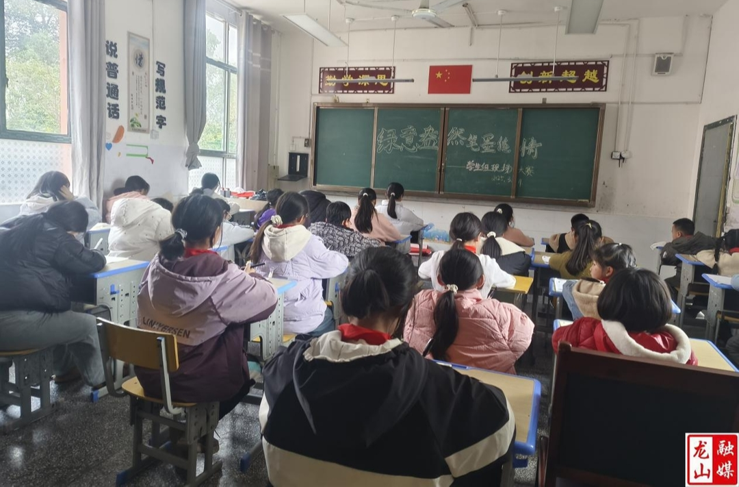 苗儿滩镇九年制学校开展师生书法比赛