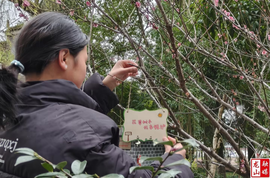 农车镇九年制学校举行2025年“植下希望，共筑绿色校园”活动