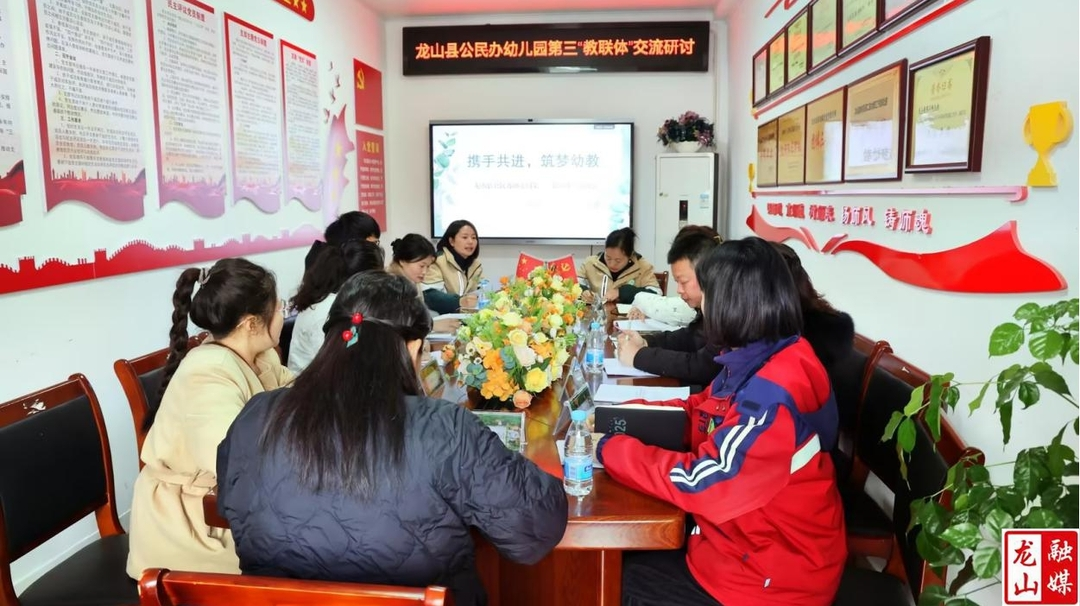 龙山县公民办“第三教联体”深入研讨工作重点