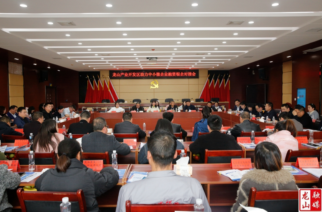 龙山产业开发区2025年一季度银企对接会召开