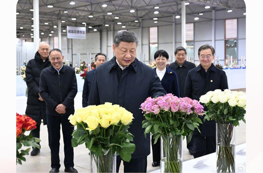 时政微观察丨生活像花儿一样美