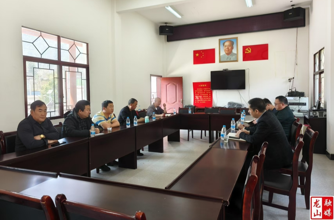 龙山税务：检查指导促优化 乡村振兴提质效