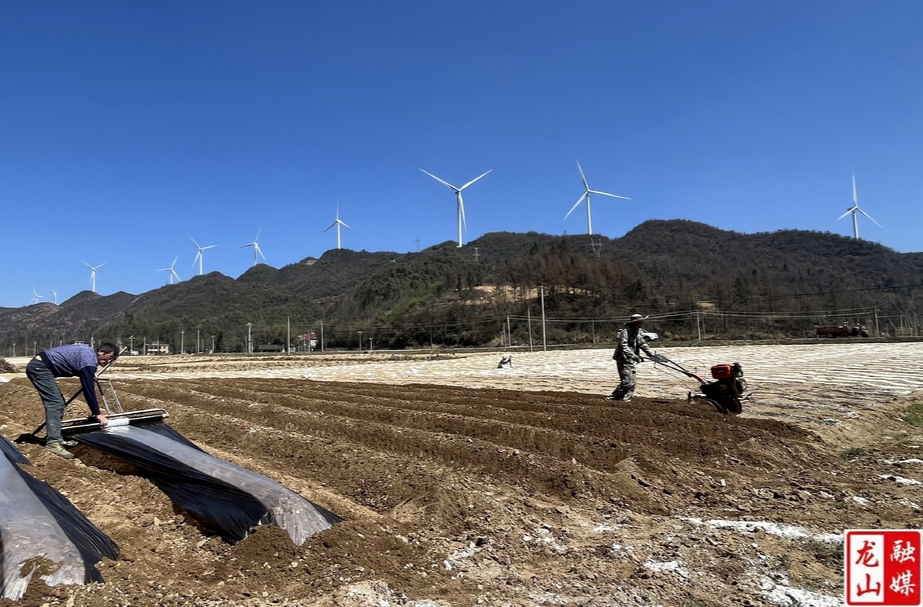 ‌大安乡‌：干群同心筑牢安全防线 抢抓农时助力春耕生产