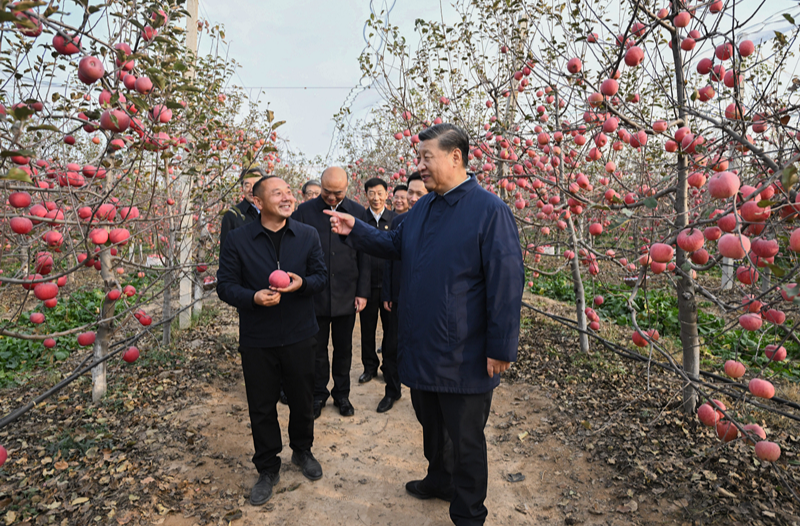 人民领袖｜总书记谈到的“苹果故事”意味深长