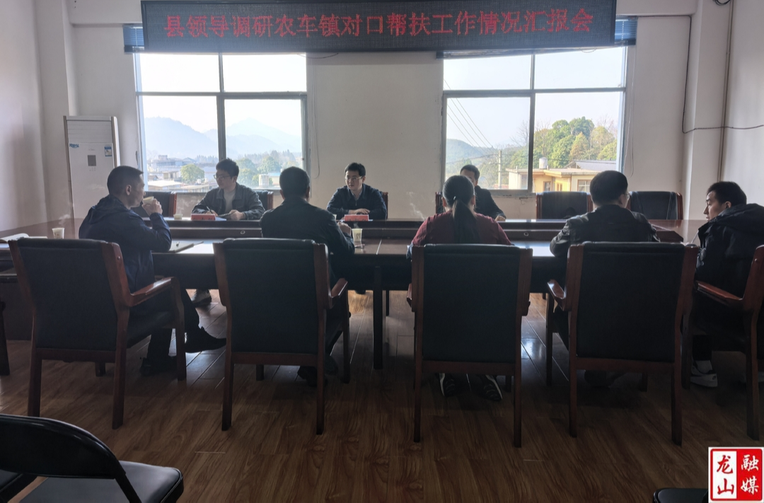 杜宸亿到乡镇调研乡村振兴对口帮扶工作