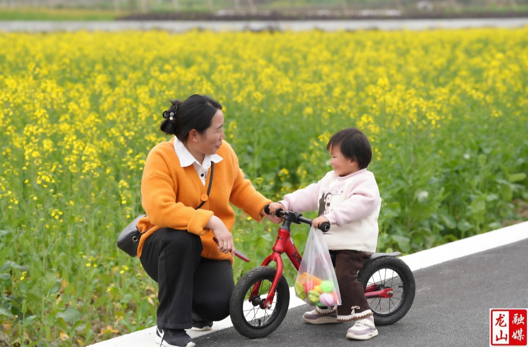 尖岩村：“花经济”赋能乡村振兴