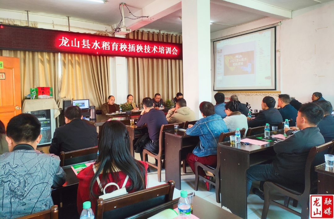 县农机事务中心：政策技术双轮驱动 育秧插秧一体赋能