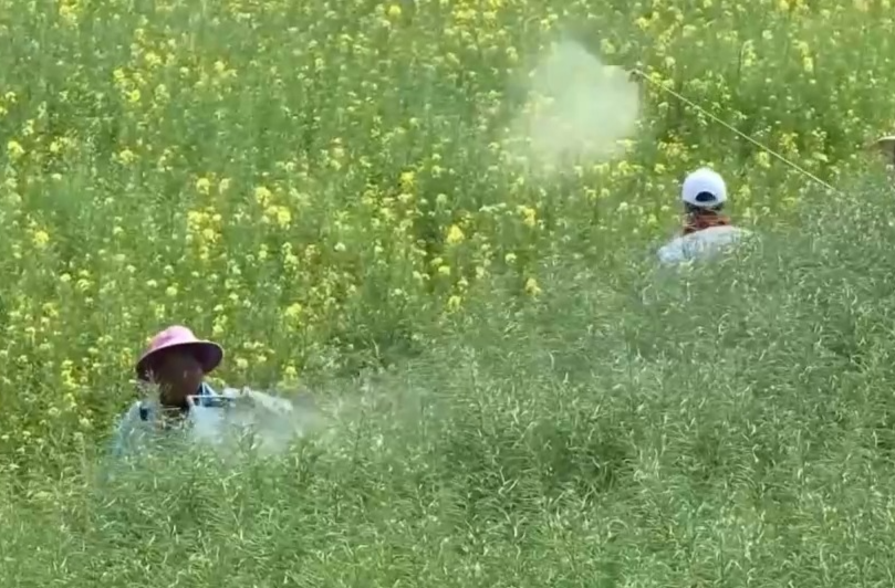 中东部气温骤降 对春耕春管影响几何？如何应对？