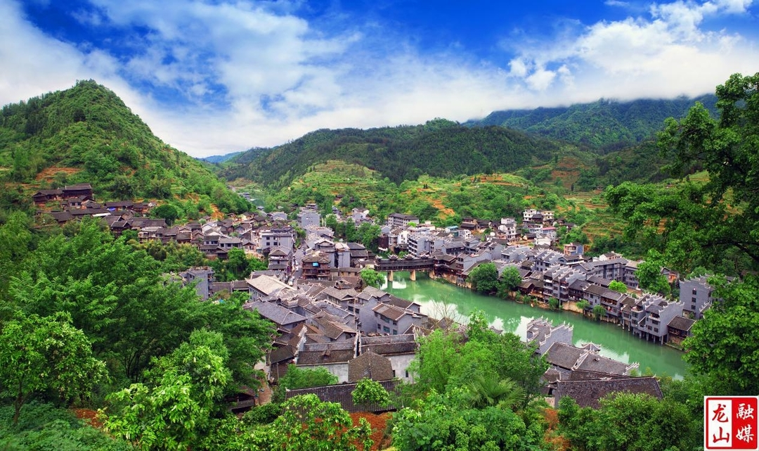 洗车河镇：一豆一果一叶 绘就乡村振兴新图景