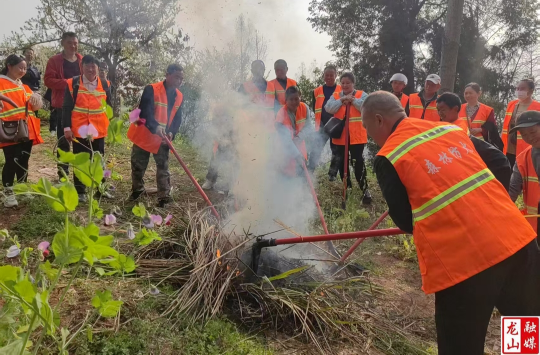 民安街道开展森林防火实战应急演练