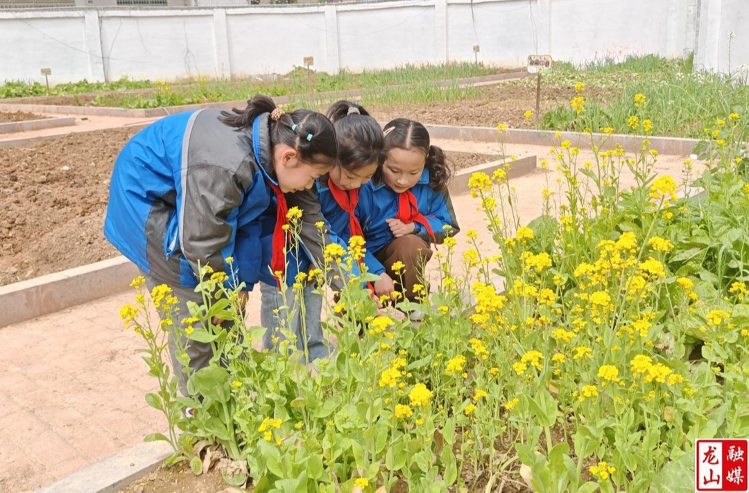 龙山六小：课间15分钟 让孩子在“泥土”中收获快乐