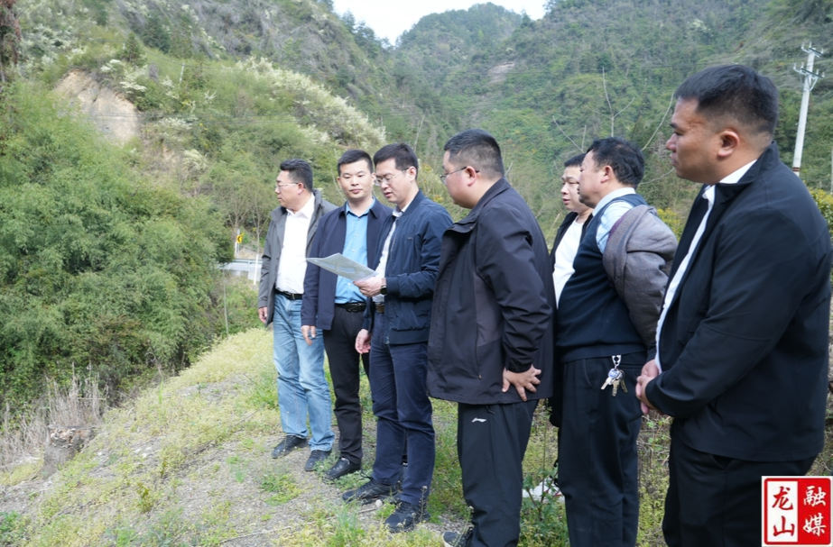 杜宸亿到乡镇调研乡村振兴对口帮扶工作