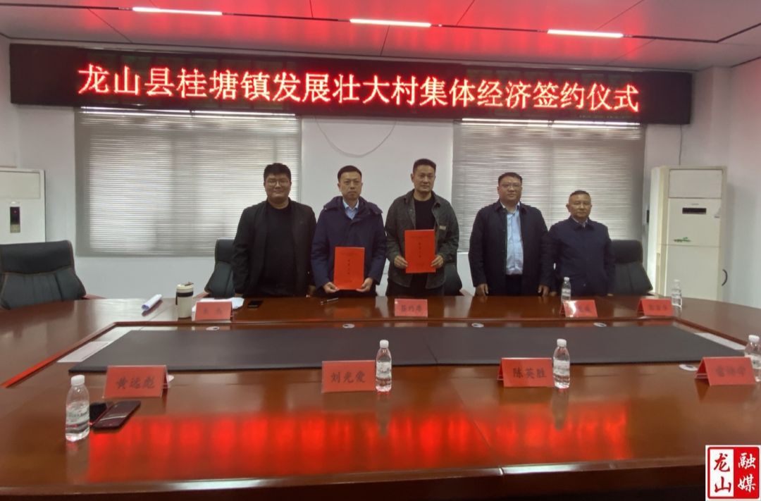 桂塘镇举行助力发展壮大村集体经济签约仪式