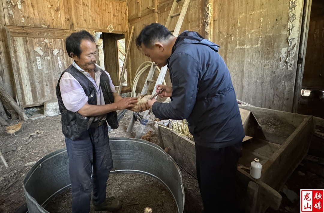 石牌镇开展春季动物防疫工作