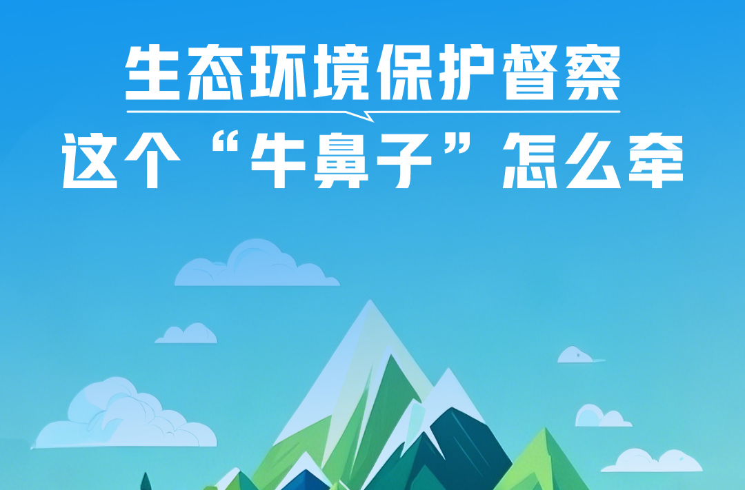 一见·生态环境保护督察，这个“牛鼻子”怎么牵