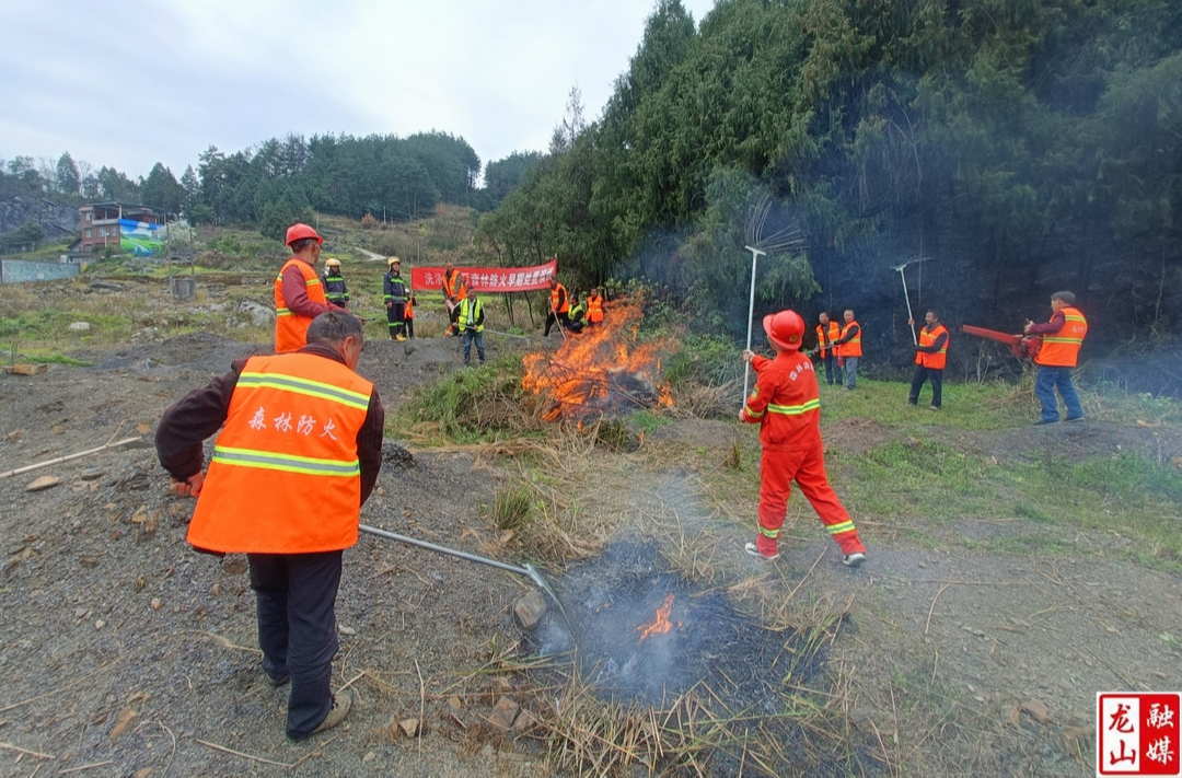 洗洛镇：织密织牢防火网  守护一方绿水青山