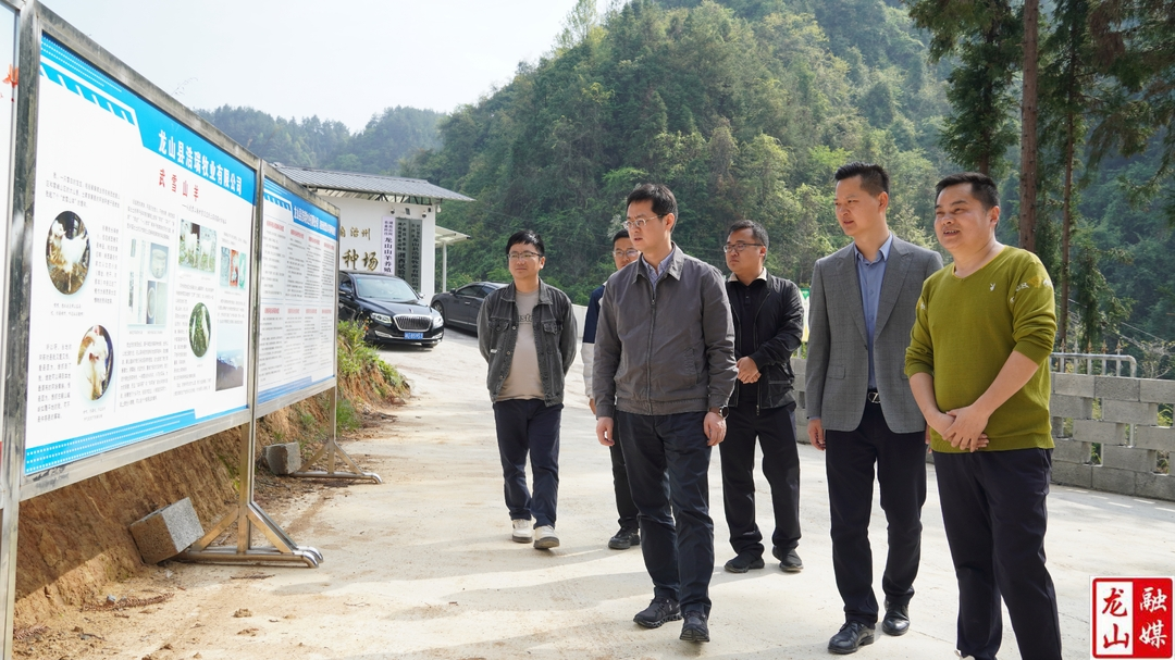 杜宸亿到乡镇调研乡村振兴对口帮扶工作