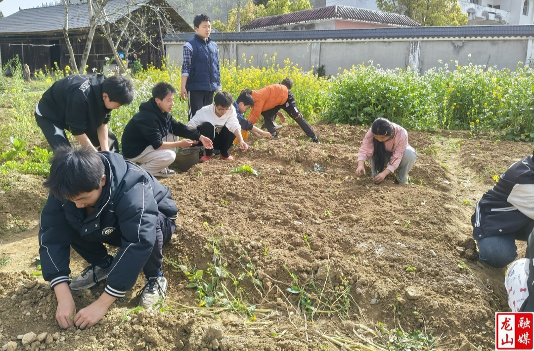 乌鸦河九年制学校：劳动教育助力农村娃成长