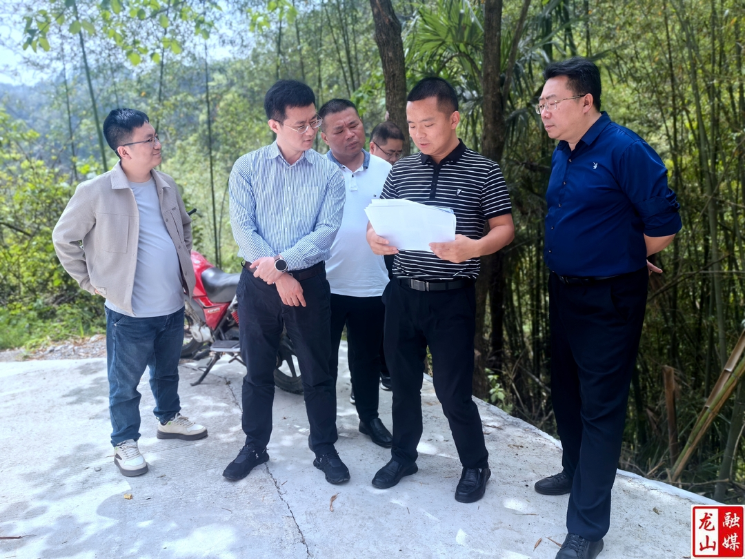 杜宸亿到乡镇调研乡村振兴对口帮扶工作