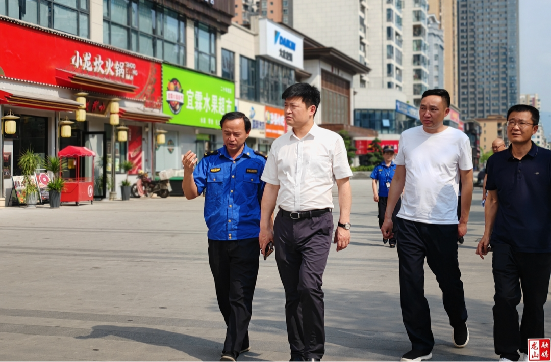 向大龙调研城区潮汐摊位及临时交易点规划设置工作