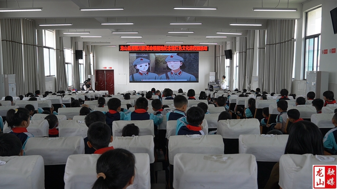 湘鄂川黔革命根据地纪念馆开展红色文化进校园活动