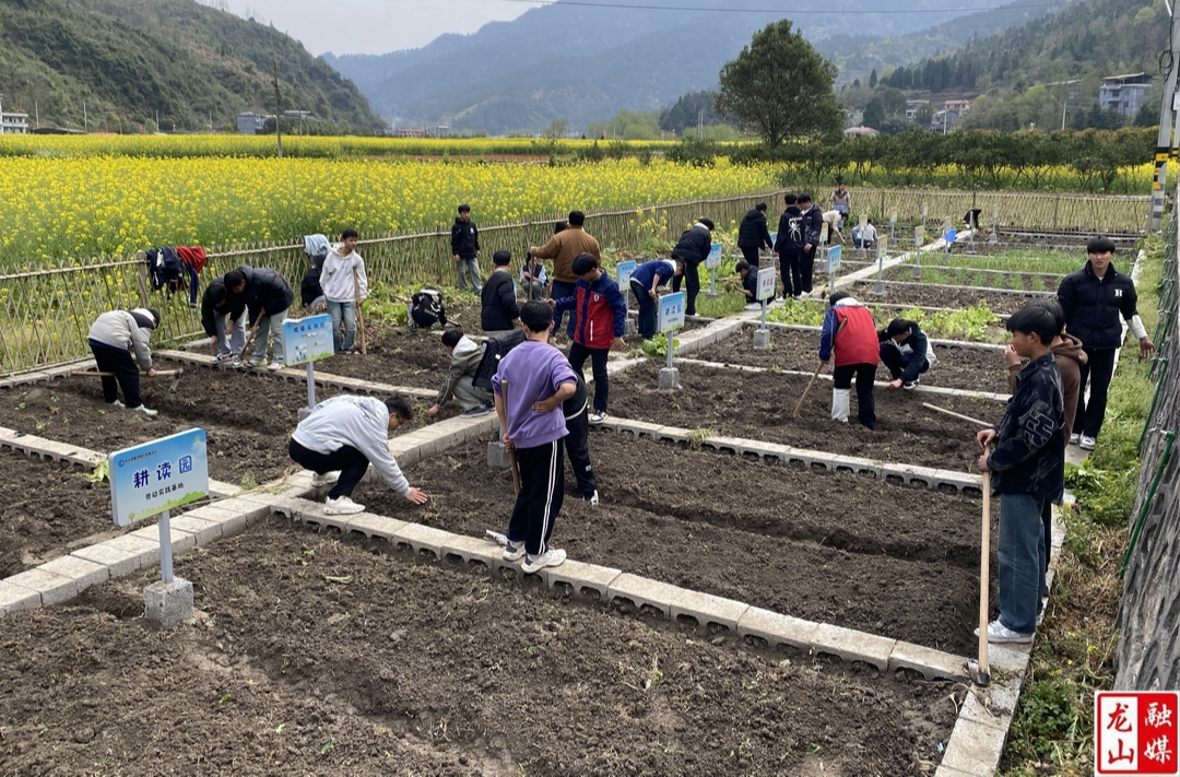 劳动光荣谱华章 汗水浇灌新希望