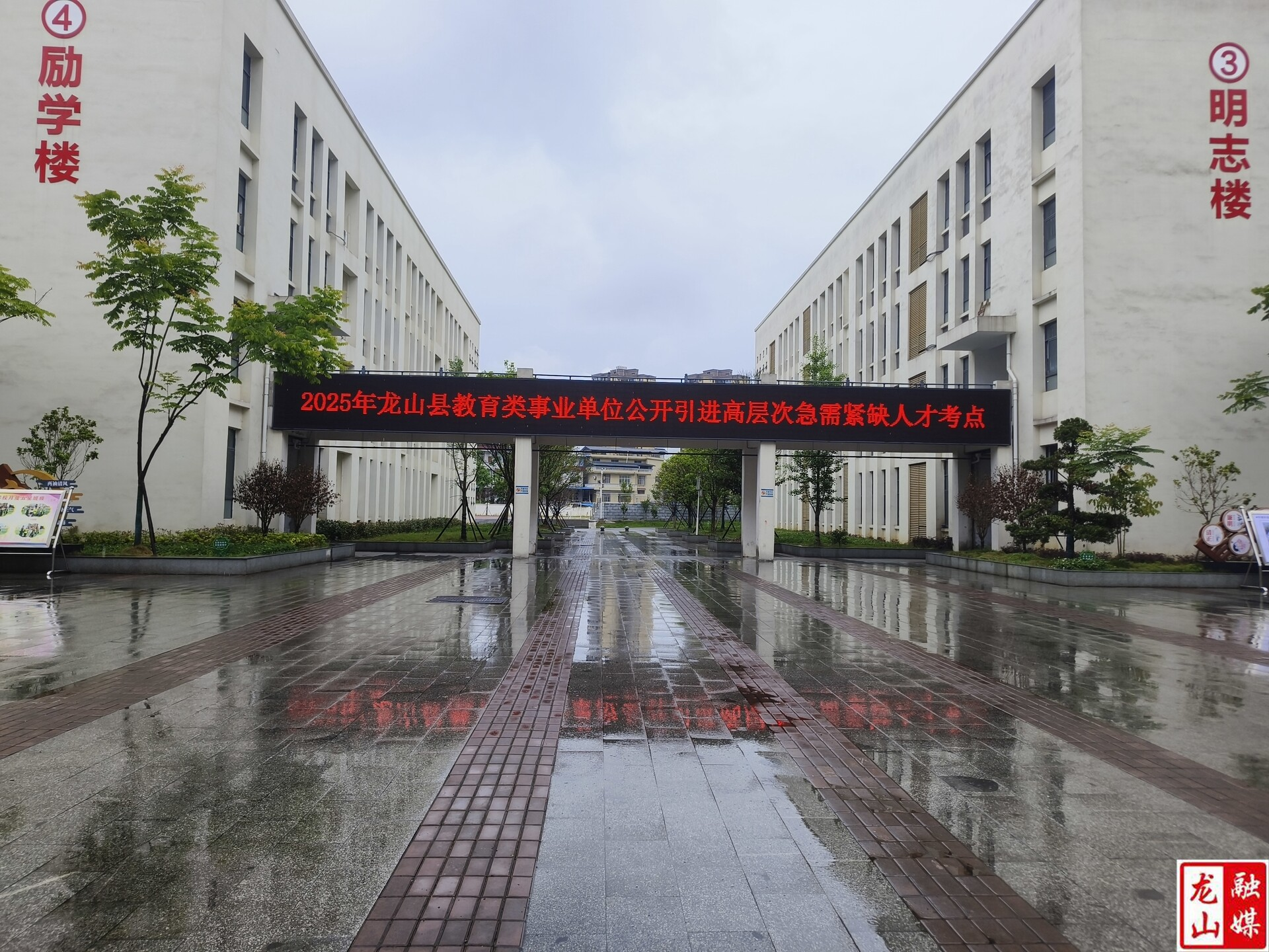 龙山县：着力打造优质人才发展生态