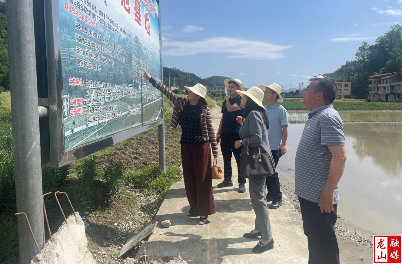 州科协一行来县调研专家工作站建设情况