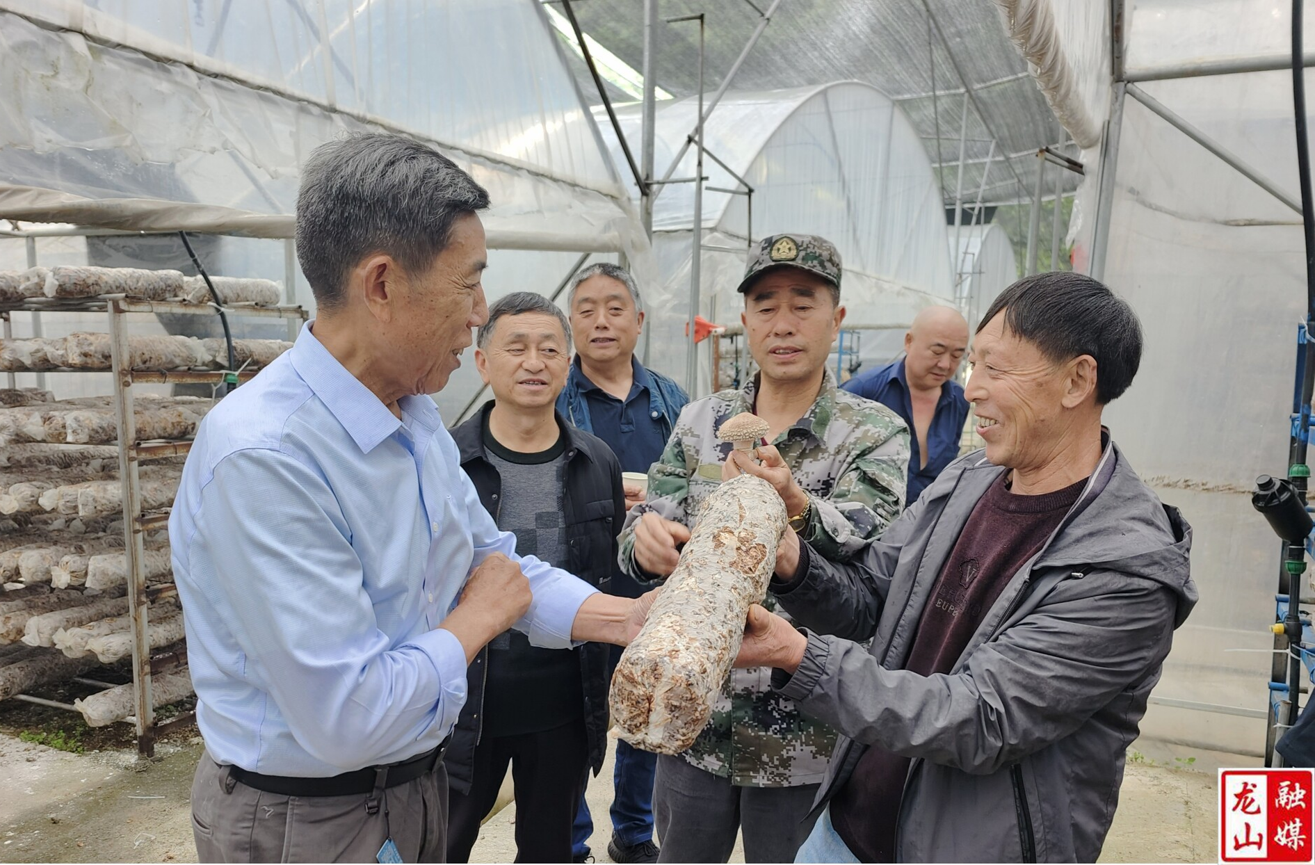 老科协：“金秋助农”专家团队送技术下乡 助力中药材产业与健康双丰收