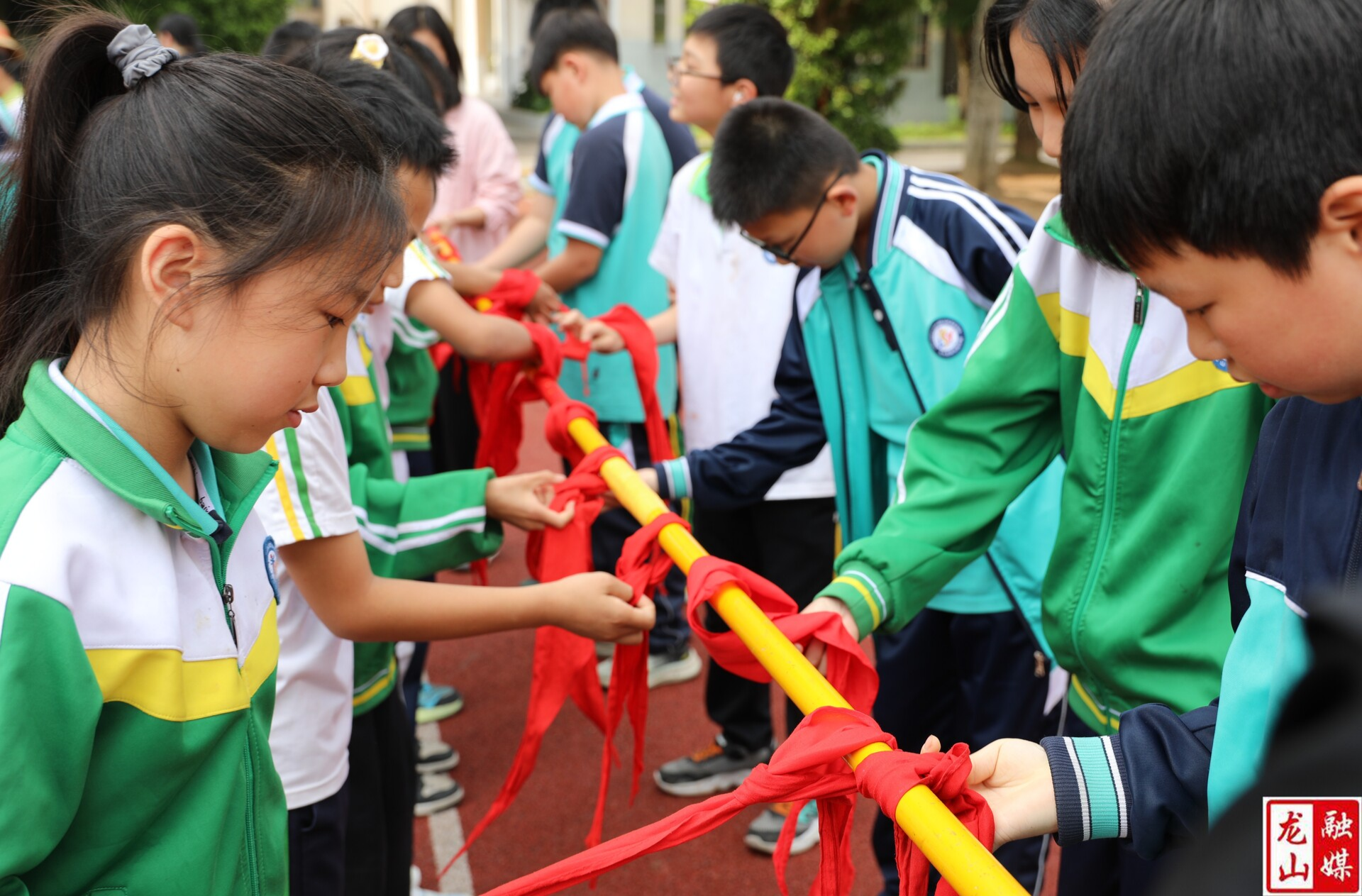 “向阳绽放 生命之旅”：一场触动心灵的体验之旅