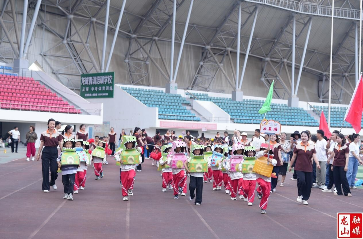 第二幼儿园举办端午亲子嘉年华