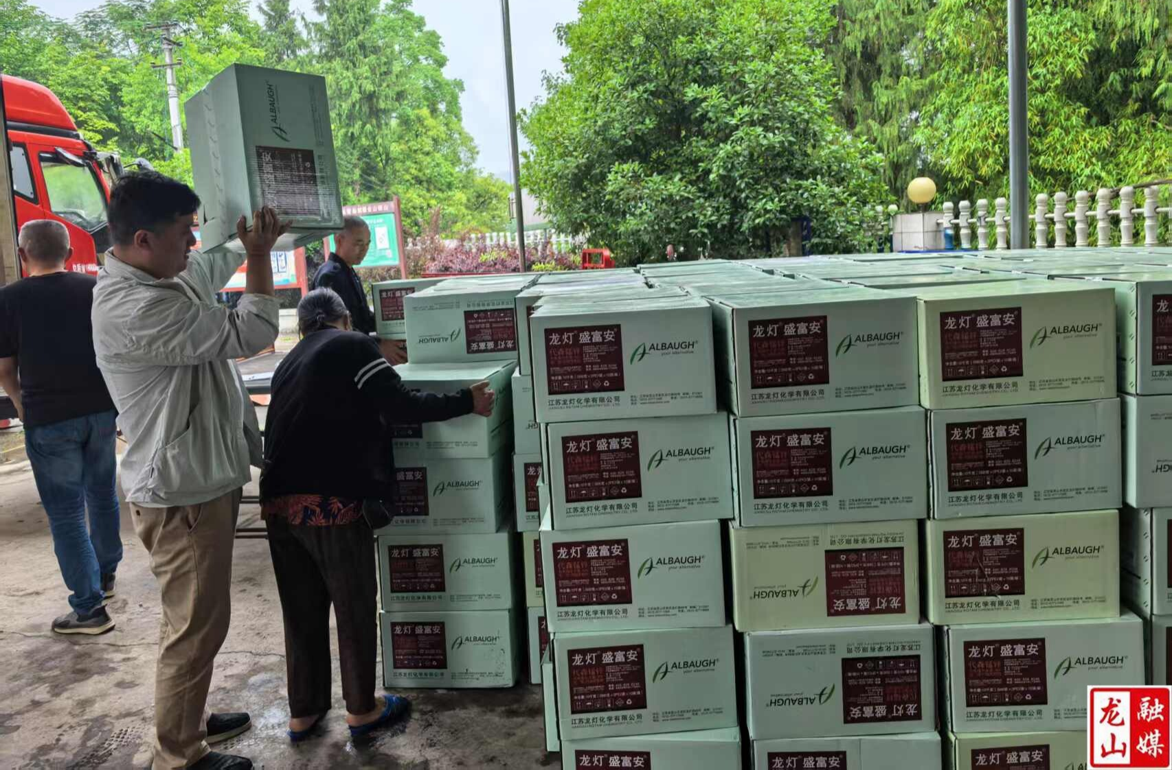 干群协力筑防线 科技助力护橘园