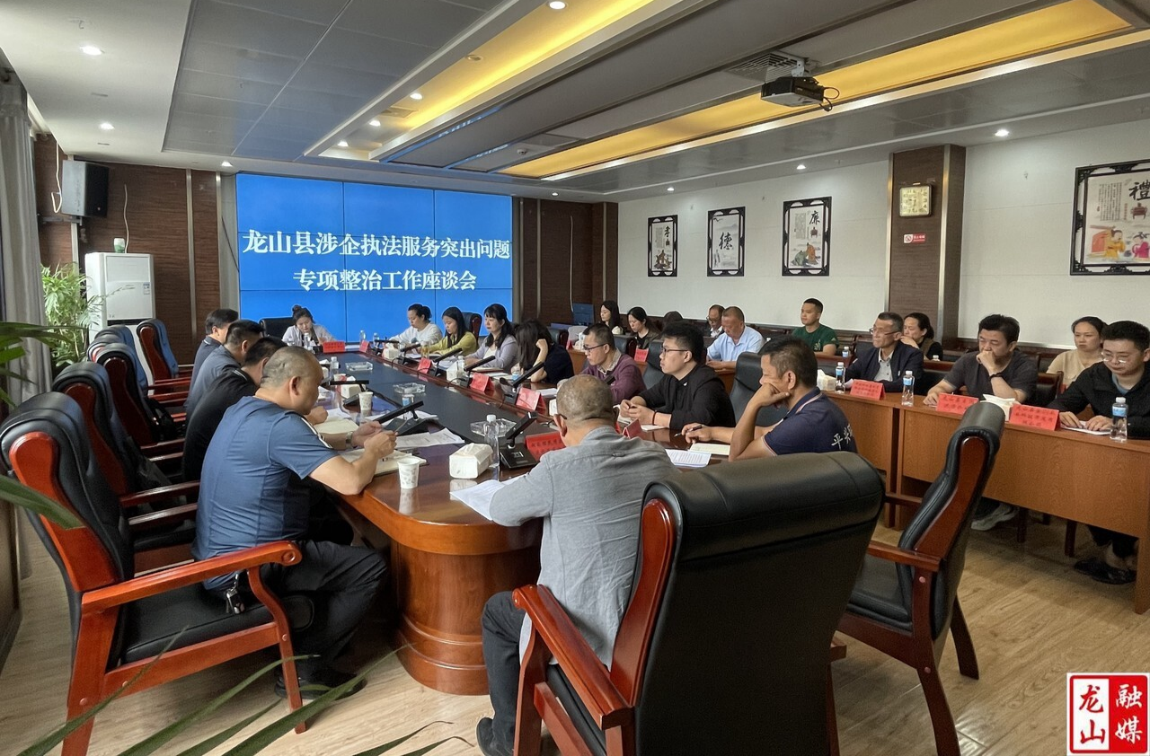 龙山县召开涉企执法服务突出问题专项整治工作座谈会